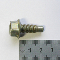 Болт М8х22 крепления подушки 2110 (ОАО «БелЗАН») 21100-1001259-008 (упак 50шт)